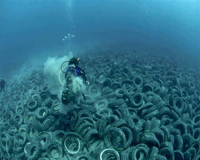 Milhões de pneus de carro despejado no fundo do oceano! Milhões de carro velho pneu estão no fundo do oceano fora Fort Lauderdale em os EUA, jogou na década de 1970 com a intenção de criar um recife artificial. Os pneus estão agora vasculhando a flo oceano ou e cunha contra o recife natural, matan