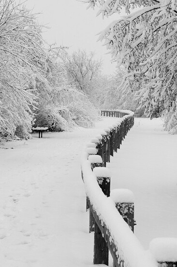 雪景