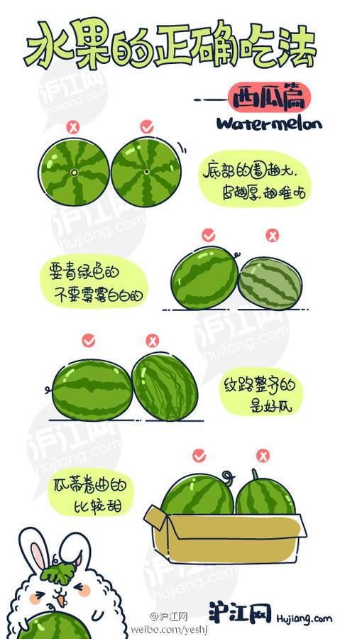 【#水果的正确吃法#vol.1-西瓜】 此款消暑必备良品，学名：Citrullus lanatus，英文：Watermelon，日语读スイカ，西瓜在五代引种中国，当初称为寒瓜。按重量计算有92%的水份，是水份比例最高的水果。怎么挑选好吃的西瓜？看底部！看瓜皮！看瓜蒂！辨纹路！详情见图。