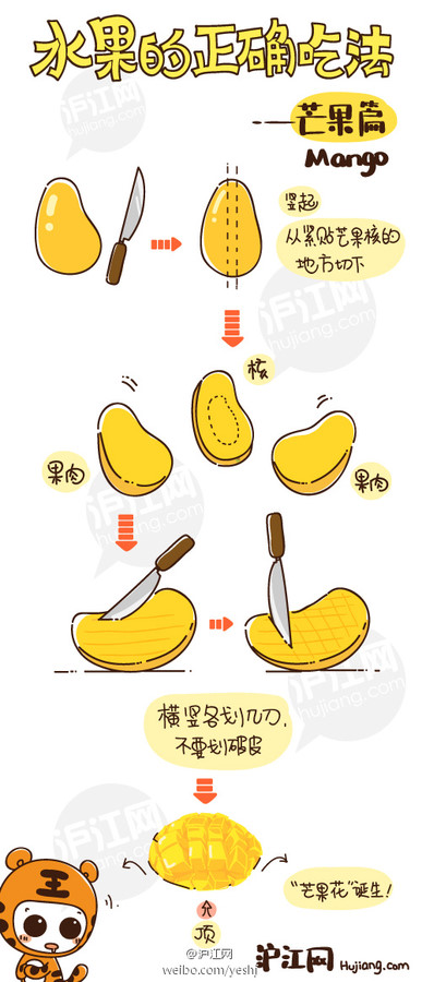 【#水果的正确吃法#vol.4-芒果】 此物学名：Mangifera indica Linn，英文：mango，日语读マンゴー 。芒果原产于印度，距今已有4000多年的历史。因其集热带水果精华于一身，被誉为“热带水果之王”。但是风味独特的芒…