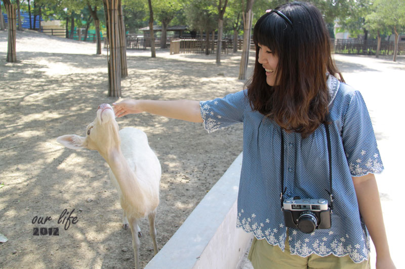 這也算是旅行吧~天津動物園的草泥馬之旅~gogogo