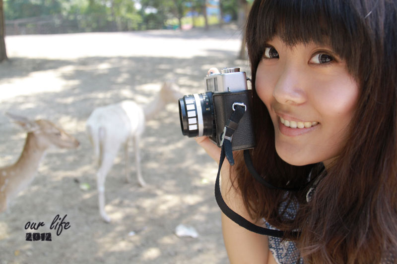 這也算是旅行吧~天津動物園的草泥馬之旅~gogogo