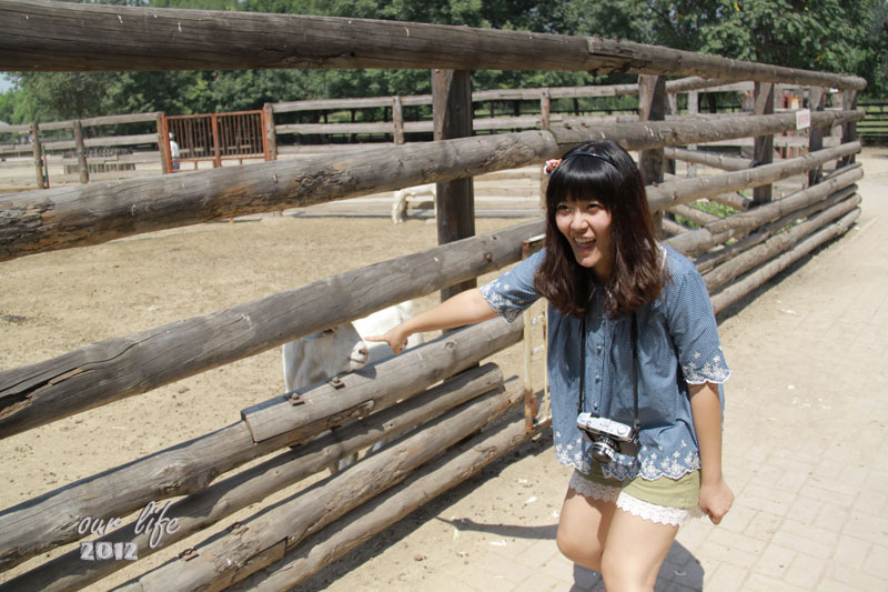 這也算是旅行吧~天津動物園的草泥馬之旅~gogogo