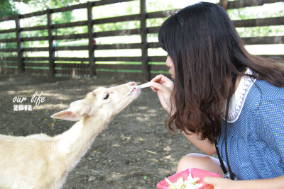 這也算是旅行吧~天津動物園的草泥馬之旅~gogogo