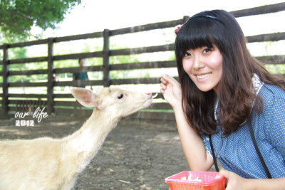 這也算是旅行吧~天津動物園的草泥馬之旅~gogogo