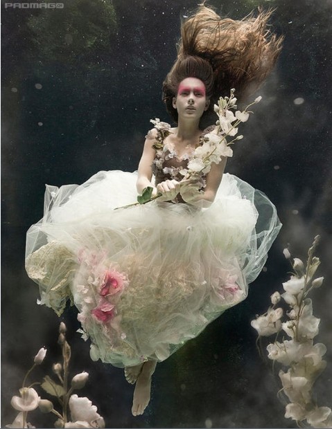 【under water】英国的女摄影师Zena HOLLOWAY。她的水下摄影作品雍容华贵，每张作品都别有风格。