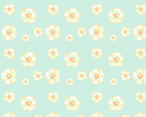 白白净净的小花花。【阿团丸子】