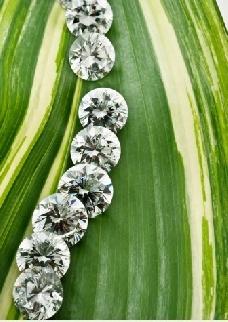 遇到现在和你相伴一生的人，要百分百感谢他，因为你们现在都得到了幸福和真爱。