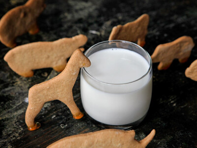 animal cookies at the watering hole