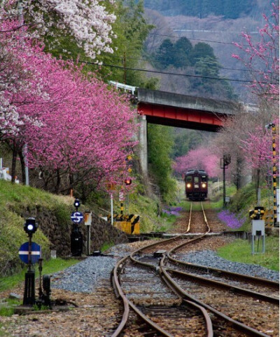 良濑川用溪谷铁道