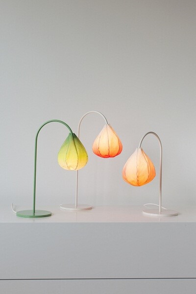 Bloom Lamps 灯具设计