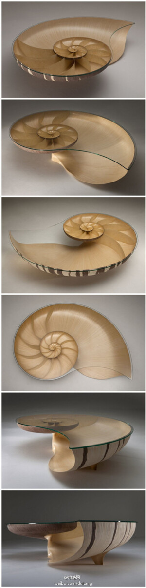 【鹦鹉螺第二版桌子】设计者Marc Fish从自然界得到灵感，并结合创新的建筑技术，手工雕刻凹槽，外壳流畅自然。