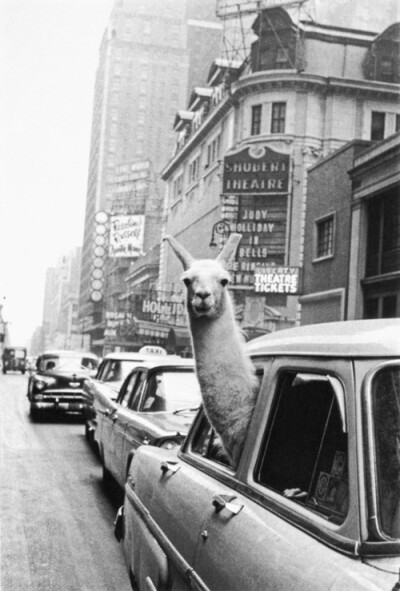 摄影师Inge Morath作品，摄于1957年，纽约时代广场。