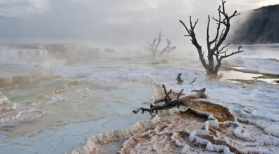 由来自密苏里州尼克夏（Nixa）的Steven Ross拍摄的《水汽弥漫的猛犸温泉》。2009年10月摄于怀俄明州黄石国家公园。