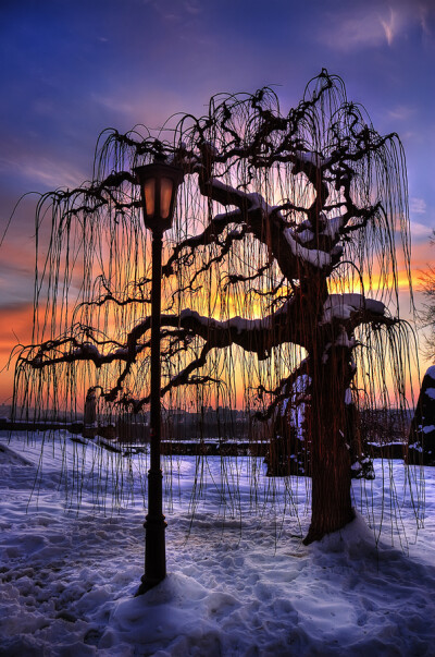 Tree Of Patience Travel Through 50+ Photos The City of Belgrade, Serbia