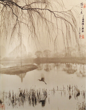 西塞山前白鹭飞，桃花流水鳜鱼肥。