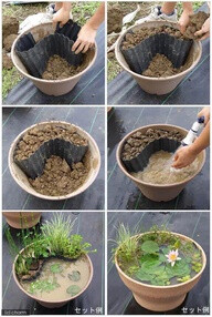 How to make a miniature pond in a pot! I would really like to do this!