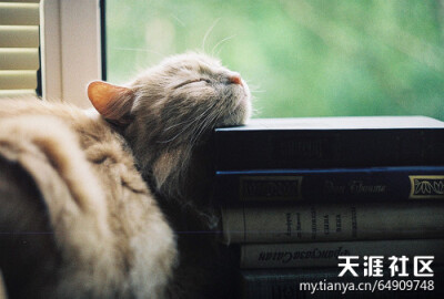 i want to sleep like this my heart is not in peace