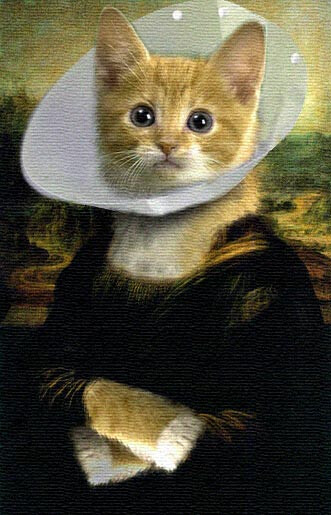 猫咪Mona Lisa