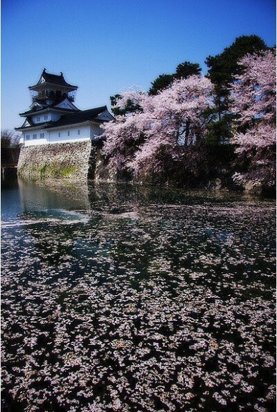 落花有意随流水，流水无心恋落花。