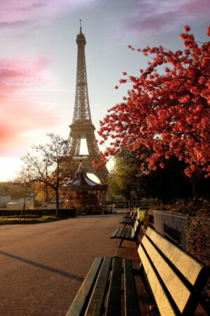落日余晖，巴黎铁塔