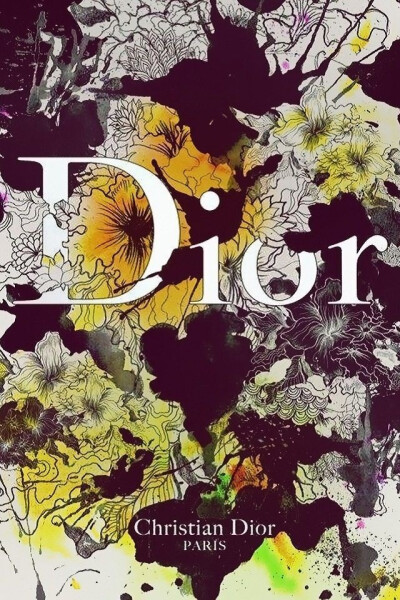 大牌风 Dior