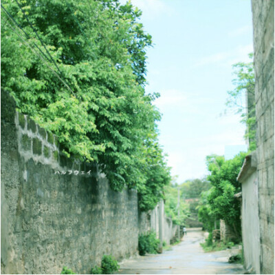 【薄荷-绿】清新、夏日、绿