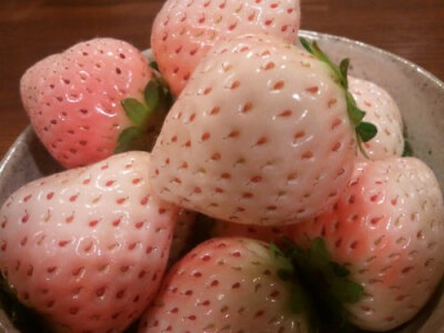 粉草莓