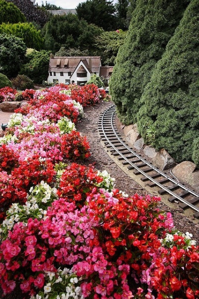 【控首饰】鲜花铁路