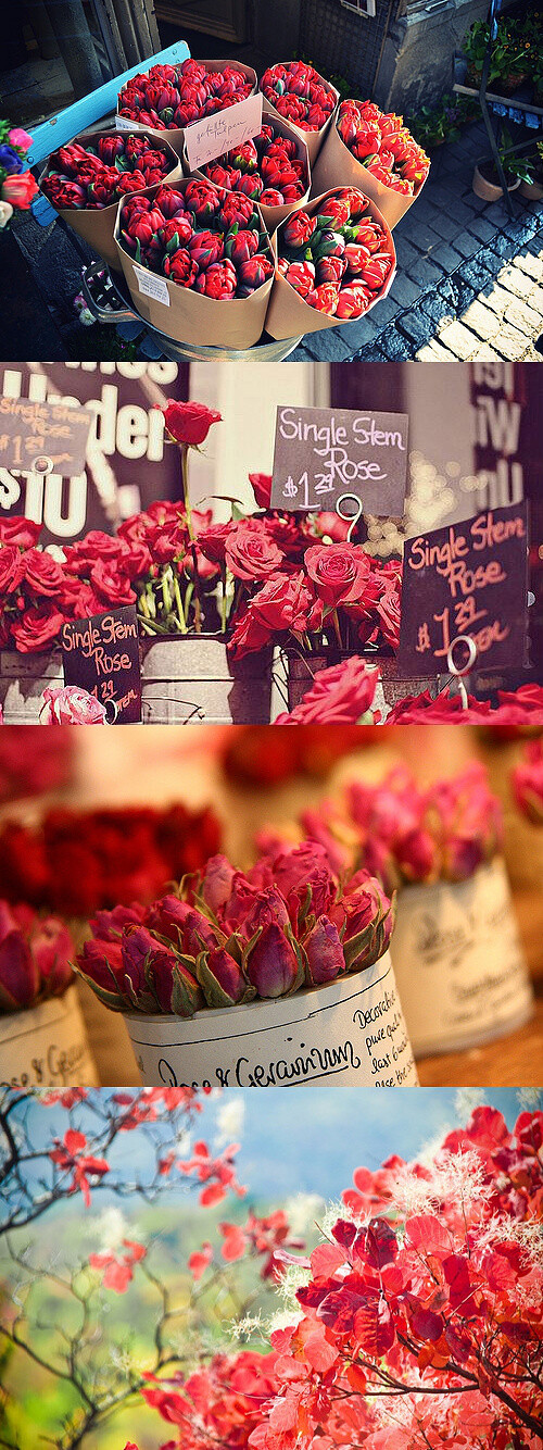 浪漫的另一个代表