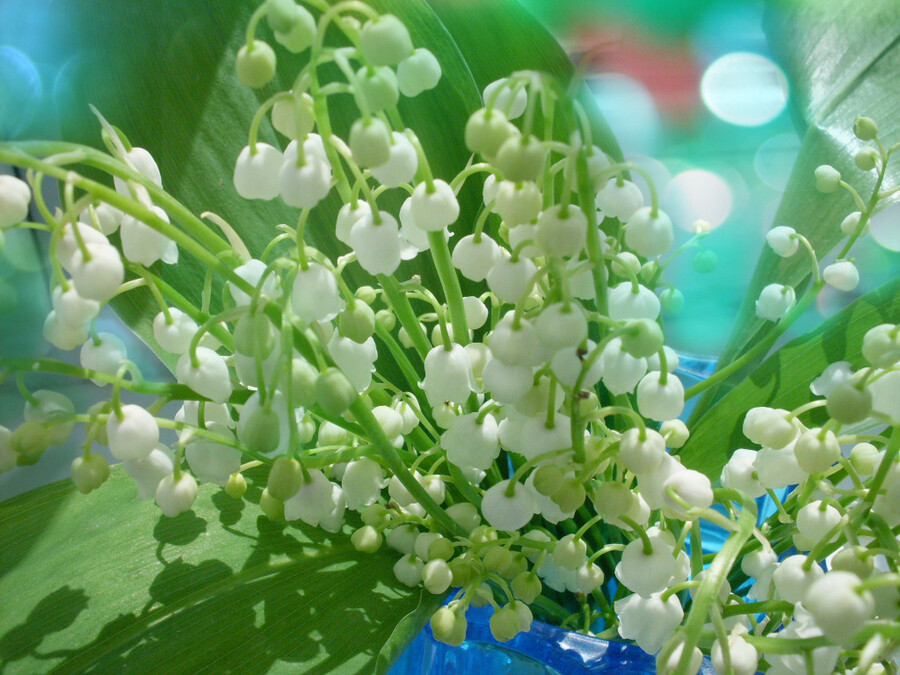 Photograph Spring sign by Elizabeth Bazilevich on 500px