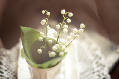 Photograph Lily of the valley by Natasha Chernova on 500px