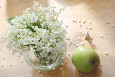 Photograph lily of the valley by Anna Aybetova on 500px