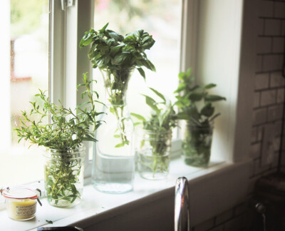 By Rebekka Mann Seale-Herbs on Window