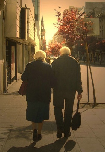 执子之手，与子共度夕阳红 ~