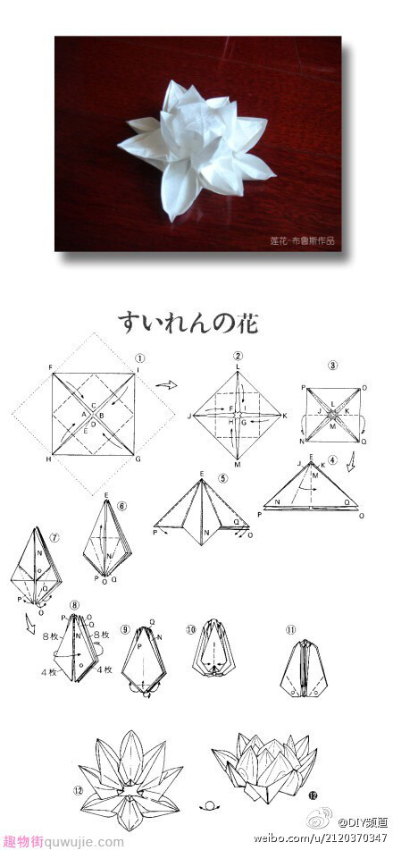 【莲花折纸教程】让我们的梦想如莲花一般绽...