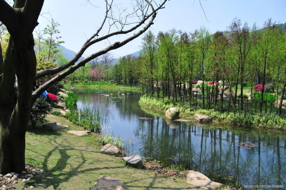 住区绿地设计是指结合住区范围内的功能布局、建筑环境和用地条件，在住区绿地中进行以绿化为主的环境设计过程。