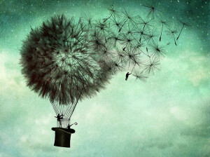 　蒲公英的飞行。Catrin Welz-Stein