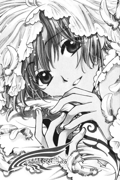 ACG、翼年代记、小樱