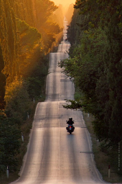 Bolgheri, Tuscany