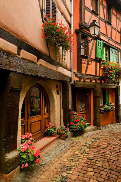 【法國阿爾薩斯Alsace鵝卵石步道】似乎闻到了石板的气息，宁静，悠远......