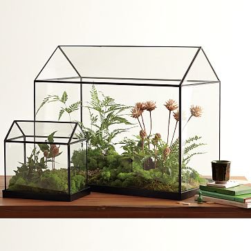 Glass Greenhouses | west elm