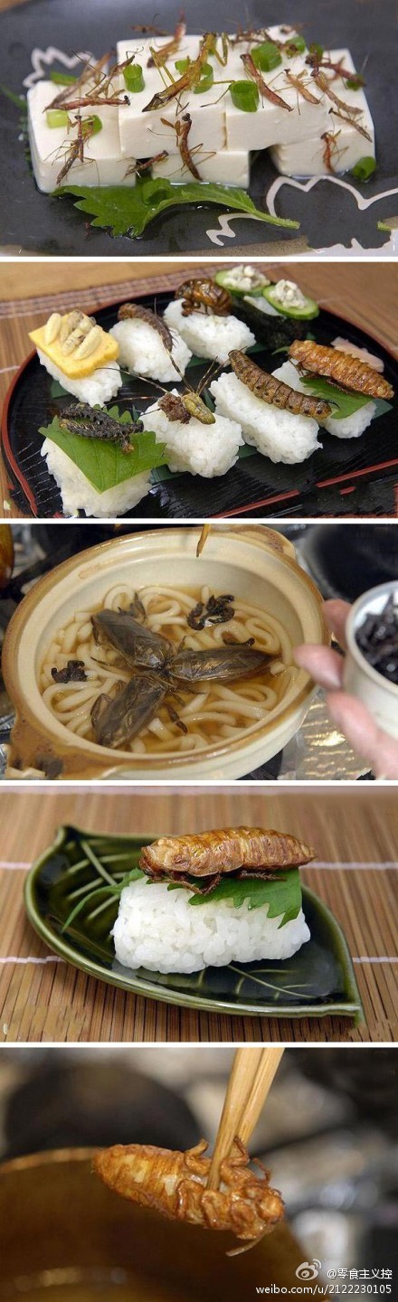 昆虫大餐，你能吃得下去吗？