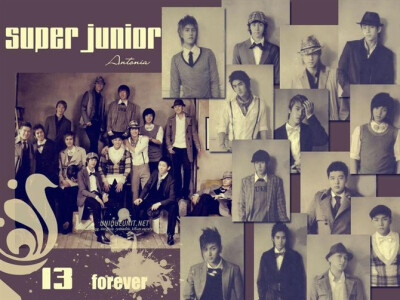 super junior