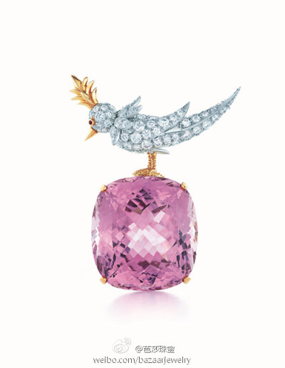 由著名设计师Jean Schlumberger设计的TiffanyAndCo蒂芙尼 Bird on a Rock系列104.66克拉紫锂辉胸针