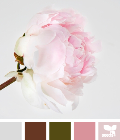 peony hues