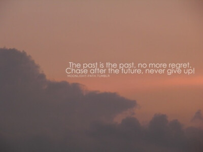 The past is the past,no more regret. Chase after the future,never give up.