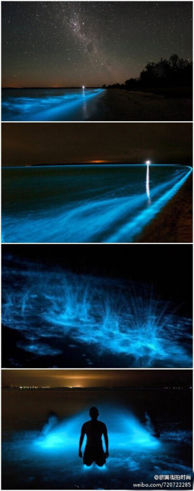 澳大利亚“潘多拉星球”之湖。湖水如同被倾倒进荧光染料一样，夜晚会发出幽蓝色的光芒，将石子投入湖中，也会激起蓝色的荧光，人在湖中浸水或游泳后，身上也会染上一层蓝色荧光。叹为观止啊！！！
