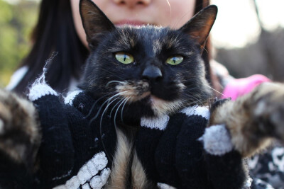 被强迫的正面照