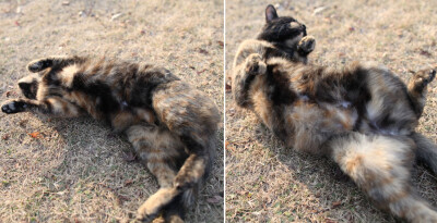 我扭，我扭，我扭扭扭